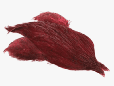 4B Rooster Cape - Claret