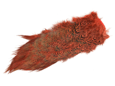 Fishingcape-pheasant-rump-patch-fly-tying-feathers